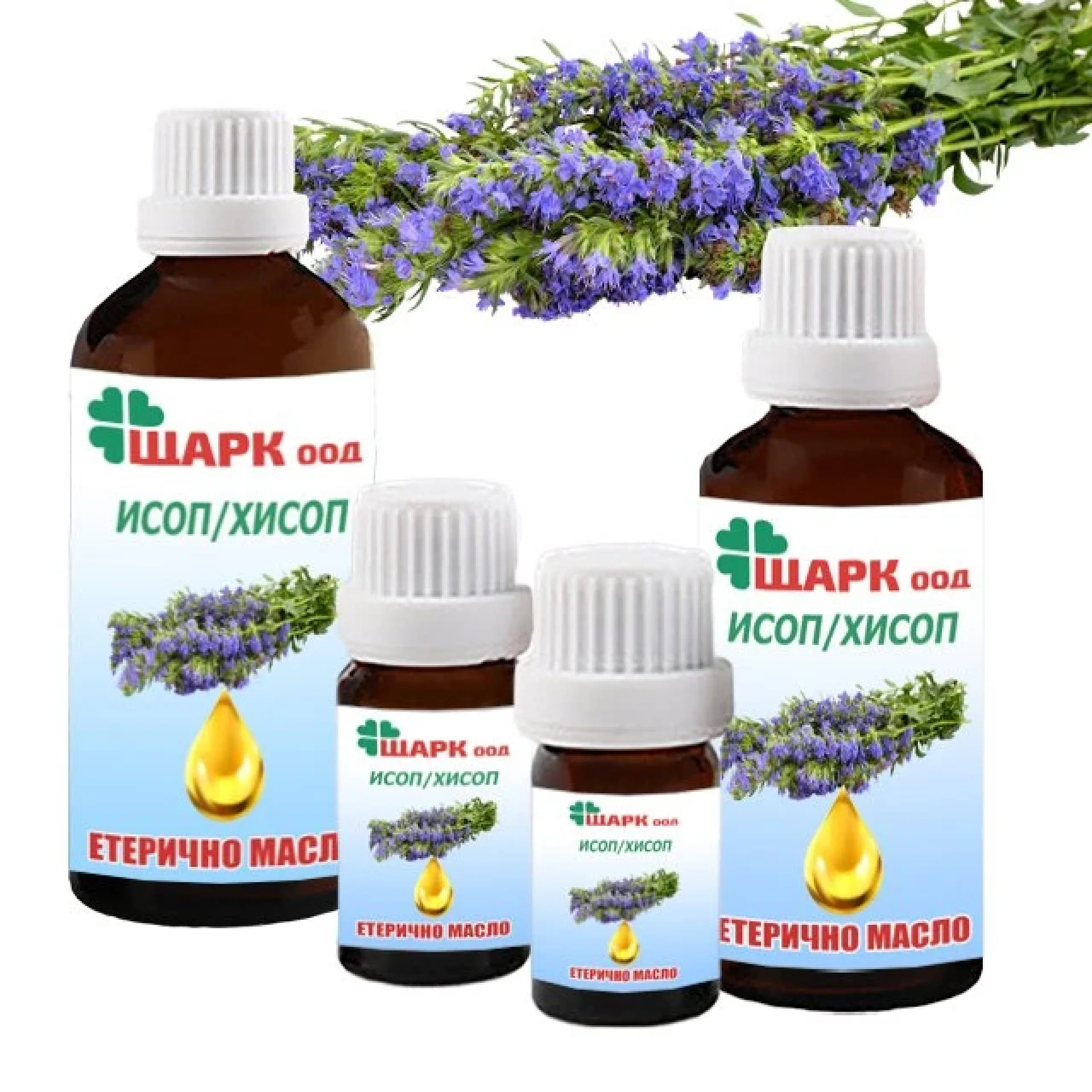 Hyssop+essential+oil